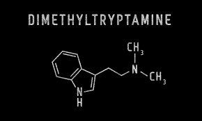 DMT | Ayahuasca